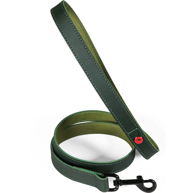 Lais cuir classique 1m 15mm vert pour chien de Zolux - Produit pour animaux dans Z002