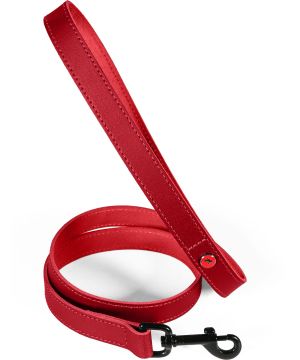 Laisse cuir classique 1m 20mm gren pour chien de Zolux - Produit pour animaux dans Z002