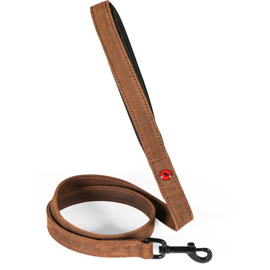 Laisse cuir conf 1m 15mm marron pour chien de Zolux - Produit pour animaux dans Z002