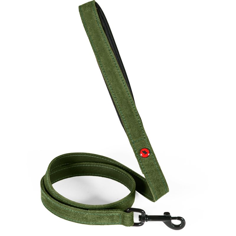 Laisse cuir conf 1m 15mm vert pour chien de Zolux - Produit pour animaux dans Z002