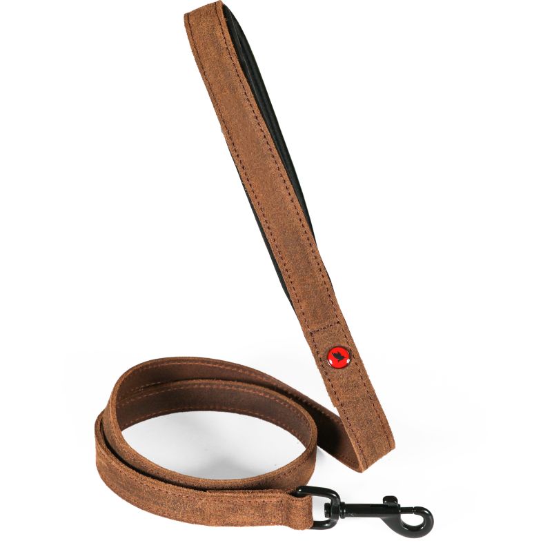 Laisse cuir conf 1m 20mm marron pour chien de Zolux - Produit pour animaux dans Z002