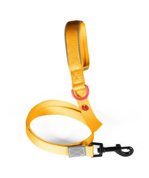 Laisse nylon premium 15mm 1,20m jaune pour chien de Zolux - Produit pour animaux dans Z002