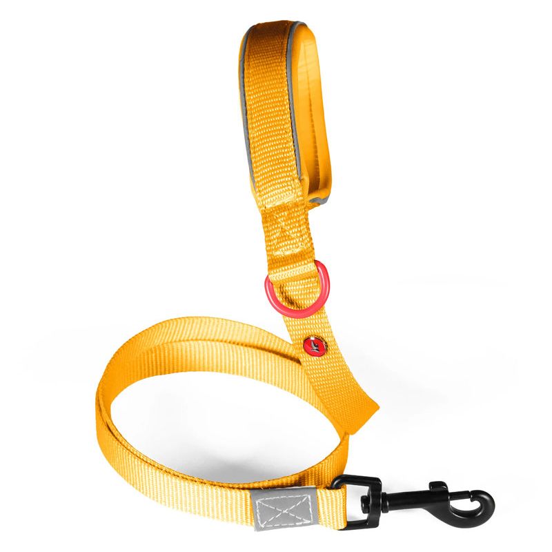 Laisse nylon premium 15mm 1,20m jaune pour chien de Zolux - Produit pour animaux dans Z002