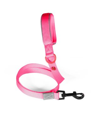 Laisse nylon premium 15mm 1,20m fuschia pour chien de Zolux - Produit pour animaux dans Z002
