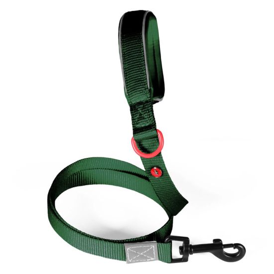 Laisse nylon premium 20mm 1,20m sapin pour chien de Zolux - Produit pour animaux dans Z002