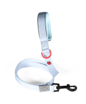 Laisse nylon premium 25mm 1,20m ciel pour chien de Zolux - Produit pour animaux dans Z002