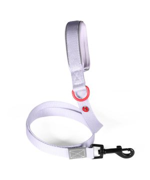 Laisse nylon premium 20mm 1,20m lilas pour chien de Zolux - Produit pour animaux dans Z002