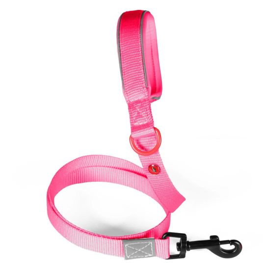 Laisse nylon premium 25mm 1,20m fuschia pour chien de Zolux - Produit pour animaux dans Z002