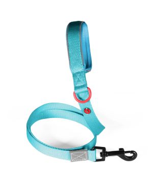 Laisse nylon premium 20mm 1,20m turquoise pour chien de Zolux - Produit pour animaux dans Z002