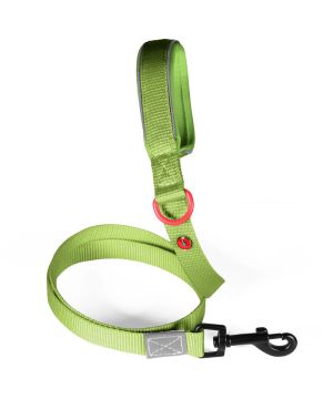 Laisse nylon premium 25mm 1,20m kaki pour chien de Zolux - Produit pour animaux dans Z002