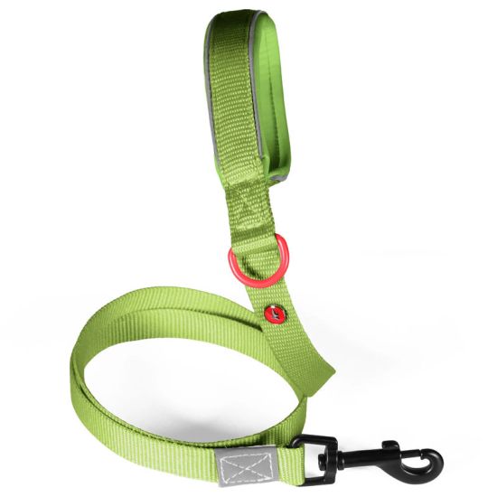Laisse nylon premium 25mm 1,20m kaki pour chien de Zolux - Produit pour animaux dans Z002