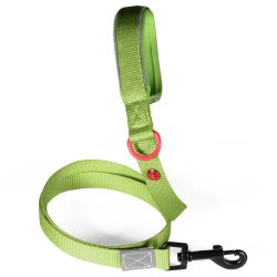 Laisse nylon premium 25mm 1,20m kaki pour chien de Zolux - Produit pour animaux dans Z002