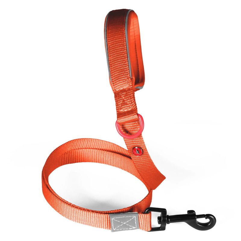 Laisse nylon premium 20mm 1,20m rouille pour chien de Zolux - Produit pour animaux dans Z002