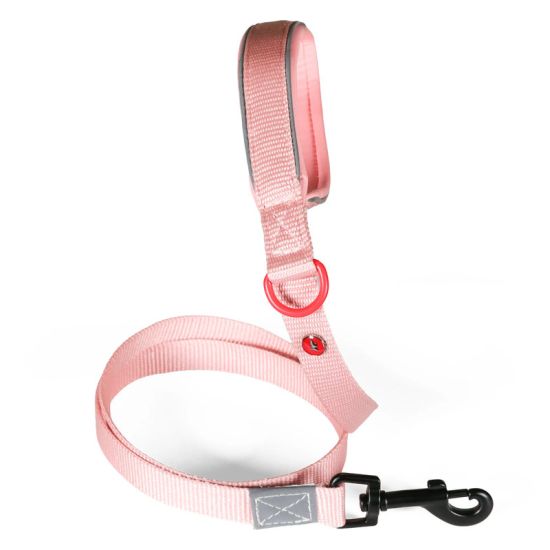Laisse nylon premium 20mm 1,20m rose pour chien de Zolux - Produit pour animaux dans Z002