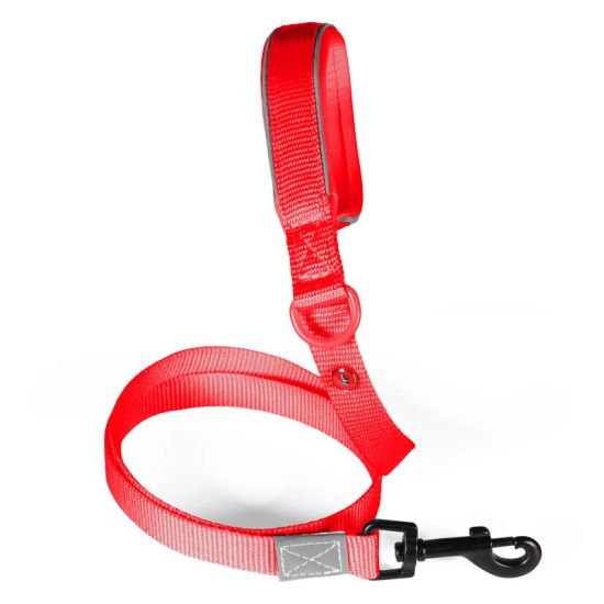 Laisse nylon premium 20mm 1,20m rouge pour chien de Zolux - Produit pour animaux dans Z002