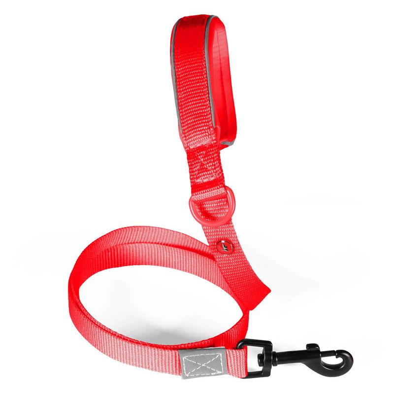 Laisse nylon premium 20mm 1,20m rouge pour chien de Zolux - Produit pour animaux dans Z002