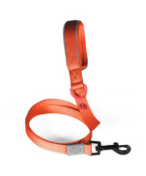 Laisse nylon premium 25mm 1,20m rouille pour chien de Zolux - Produit pour animaux dans Z002