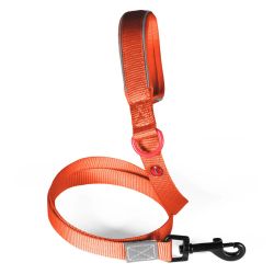 Laisse nylon premium 25mm 1,20m rouille pour chien de Zolux - Produit pour animaux dans Z002