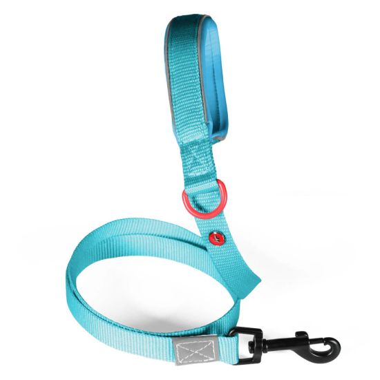 Laisse nylon premium 25mm 1,20m turquoise pour chien de Zolux - Produit pour animaux dans Z002