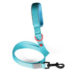 Laisse nylon premium 25mm 1,20m turquoise pour chien de Zolux - Produit pour animaux dans Z002
