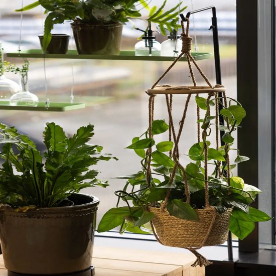 Panier Suspendu Avec Support Pour Plantes Décoratif Jardin Maison de Esschert design - deco maison et jardin dans E058