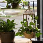 Panier Suspendu Avec Support Pour Plantes Décoratif Jardin Maison de Esschert design - deco maison et jardin dans E058