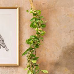 Tuteur coco L flexible pour plantes de Esschert design - deco maison et jardin dans E058