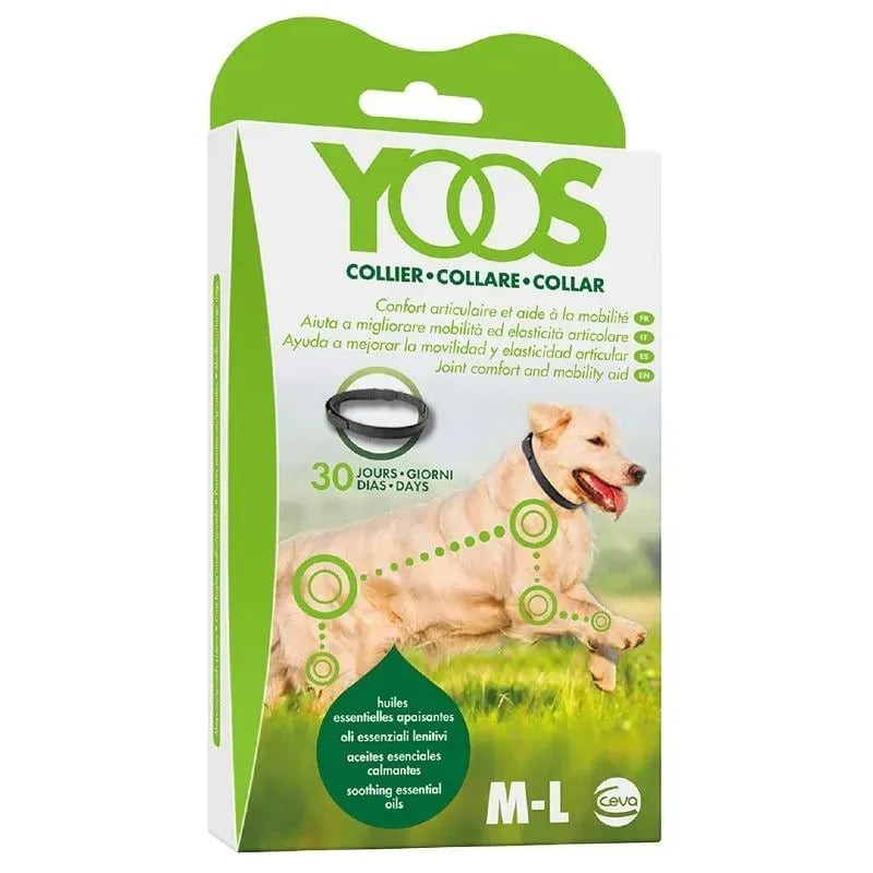 Collier YOOS GR chien de Animalerie Libourne et Bordeaux - Gironde dans D025