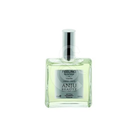 Eau de parfum feeling 100ml de Hamiform et Anju beauté dans S1591