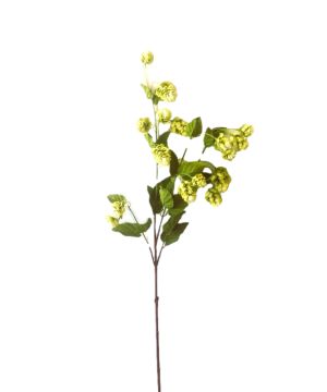 TIGE FLEURS DE HOUBLON VERT 99CM de Décoration de la maison à Libourne dans K0301