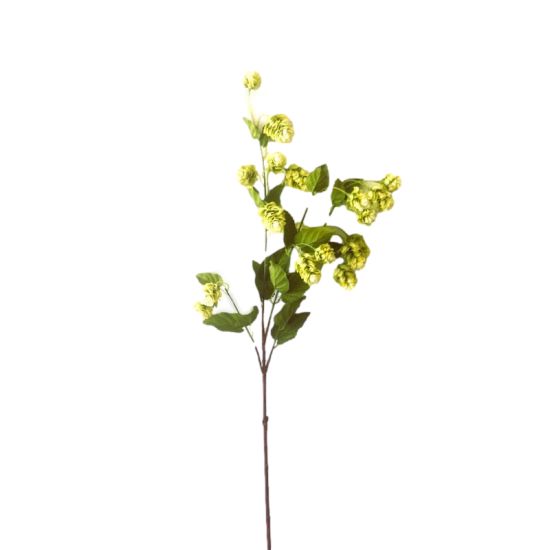 TIGE FLEURS DE HOUBLON VERT 99CM de Décoration de la maison à Libourne dans K0301
