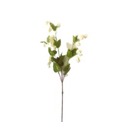 TIGE FLEURS DE HOUBLON BLANC 99CM de Décoration de la maison à Libourne dans K0301