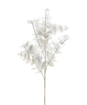 TIGE EUCALYPTUS H87CM D25CM IVOIRE de Décoration de la maison à Libourne dans K0301