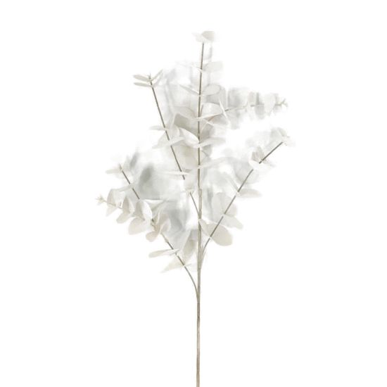 TIGE EUCALYPTUS H87CM D25CM IVOIRE de Décoration de la maison à Libourne dans K0301