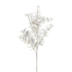 TIGE EUCALYPTUS H87CM D25CM IVOIRE de Décoration de la maison à Libourne dans K0301