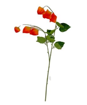 TIGE PHYSALIS 86CM de Décoration de la maison à Libourne dans K0301
