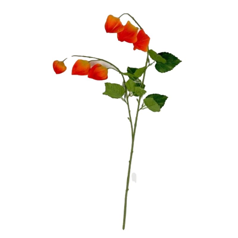 TIGE PHYSALIS 86CM de Décoration de la maison à Libourne dans K0301