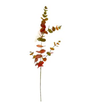 TIGE EUCALYPTUS 81CM ORANGE VERT de Décoration de la maison à Libourne dans K0301