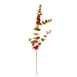 TIGE EUCALYPTUS 81CM ORANGE VERT de Décoration de la maison à Libourne dans K0301