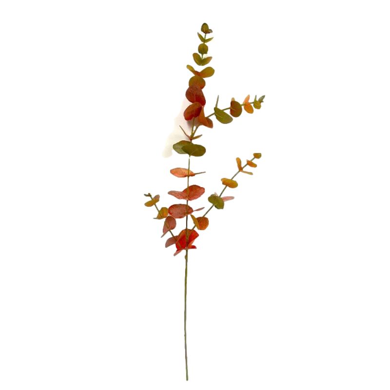 TIGE EUCALYPTUS 81CM ORANGE VERT de Décoration de la maison à Libourne dans K0301