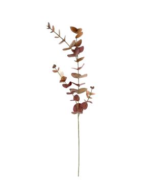 TIGE EUCALYPTUS 81CM BORDEAUX de Décoration de la maison à Libourne dans K0301