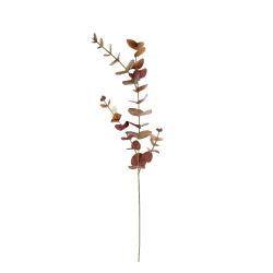 TIGE EUCALYPTUS 81CM BORDEAUX de Décoration de la maison à Libourne dans K0301