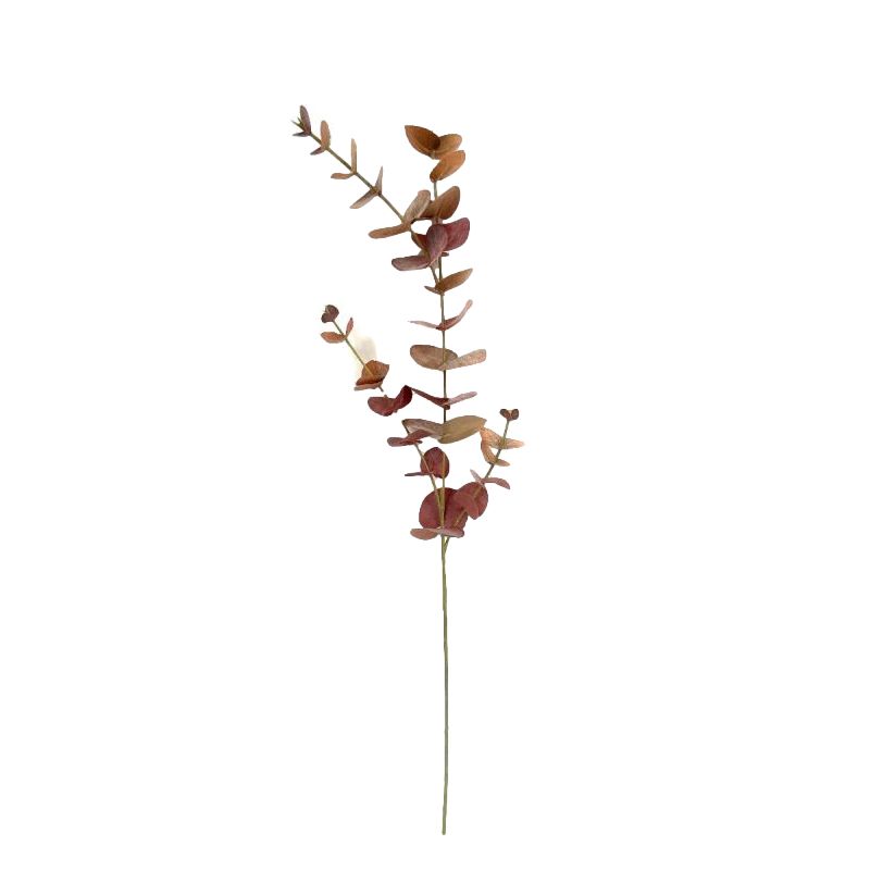 TIGE EUCALYPTUS 81CM BORDEAUX de Décoration de la maison à Libourne dans K0301