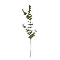 TIGE EUCALYPTUS 81CM GRIS VERT de Décoration de la maison à Libourne dans K0301