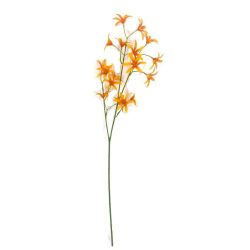 TIGE ETOILES DU SUD ORANGE 69CM de Décoration de la maison à Libourne dans K0301
