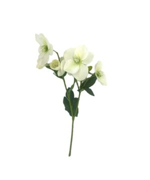 TIGE HELLEBORE BLANCHE 43CM 4 FLRS 2 BTS de Décoration de la maison à Libourne dans K0301