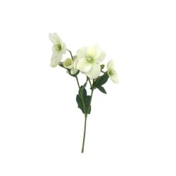 TIGE HELLEBORE BLANCHE 43CM 4 FLRS 2 BTS de Décoration de la maison à Libourne dans K0301