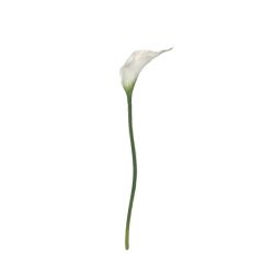 TIGE CALLA LILY BLANC 61CM de Décoration de la maison à Libourne dans K0301