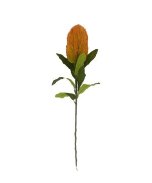 TIGE BANKSIA ORANGE 66CM de Décoration de la maison à Libourne dans K0301