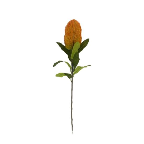 TIGE BANKSIA ORANGE 66CM de Décoration de la maison à Libourne dans K0301